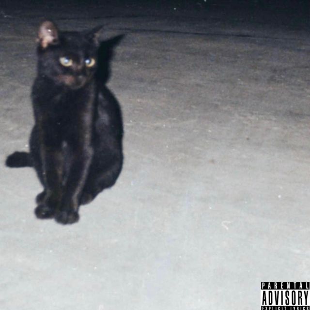 wopsaee - 'Feline' [Ringtone]
