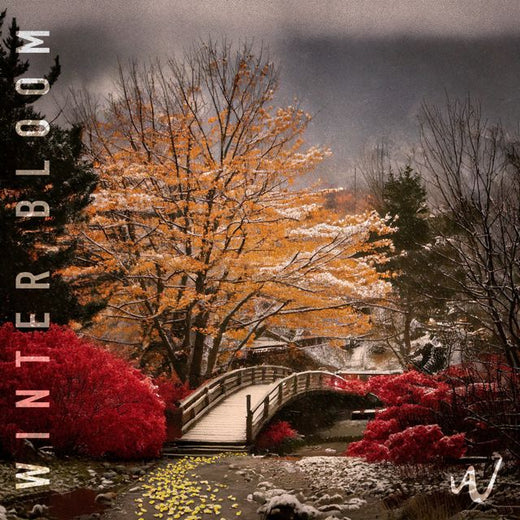Arctic Wave - 'Winter Bloom' [Ringtone]