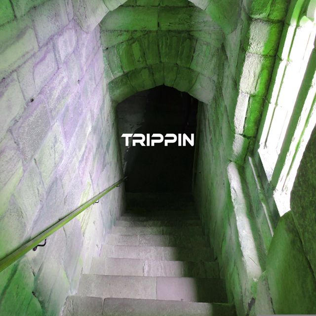 amgine - 'trippin' [Ringtone]
