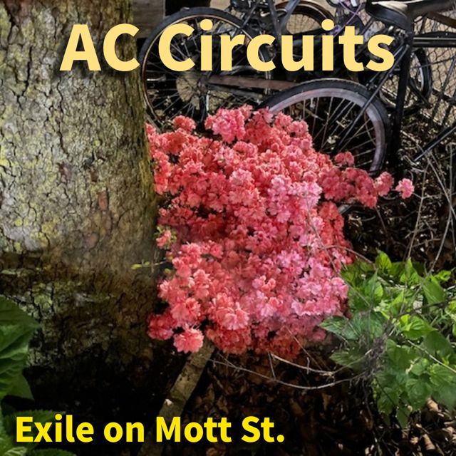 AC Circuits - 'Exile on Mott St.' [Ringtone]