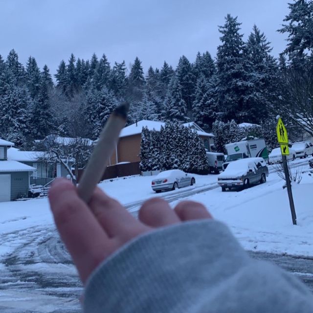 RedRozay - 'snow' [Ringtone]