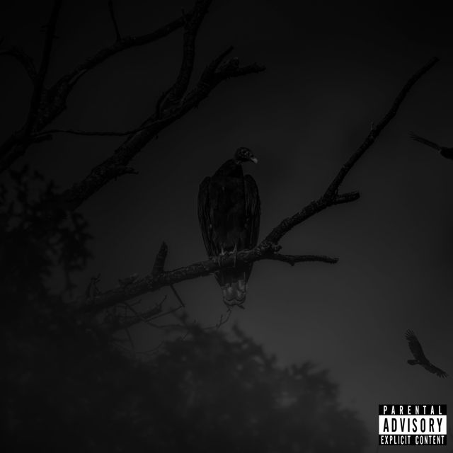 VLTHEVULTURE - 'NO FEAR' [Ringtone]