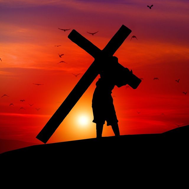 David Alan Johnson - 'Jesus Was The Son Of God' [Ringtone]