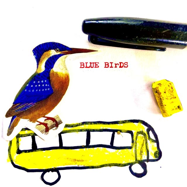 Swaul Pope - 'BLUE BIrDS' [Ringtone]