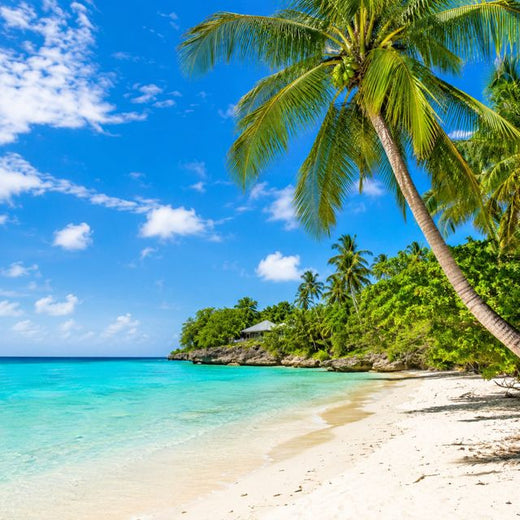 David Alan Johnson - 'Another Day In Paradise (Pop)' [Ringtone]