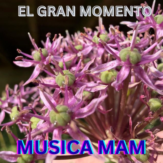 MUSICA MAM - 'EL GRAN MOMENTO' [Ringtone]