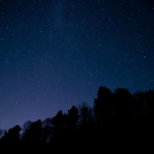 No Face Frequency - 'Ballando Con Le Stelle' [Ringtone]