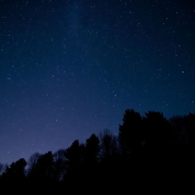 No Face Frequency - 'Ballando Con Le Stelle' [Ringtone]