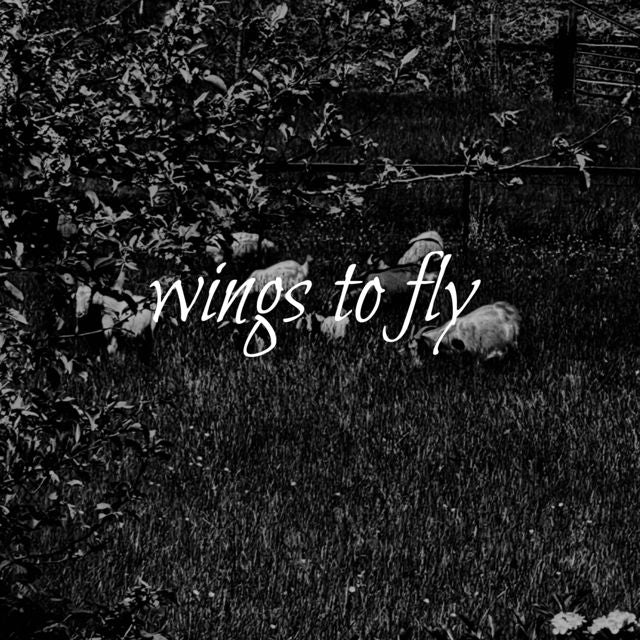 Shlumpy - 'wings to fly' [Ringtone]