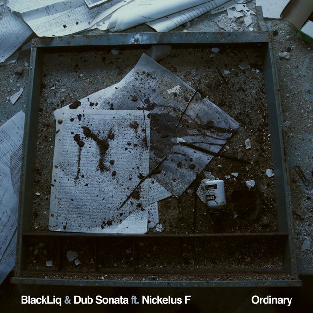 Blackliq - 'Ordinary (feat. Dub Sonata, Nickelus F)' [Ringtone]
