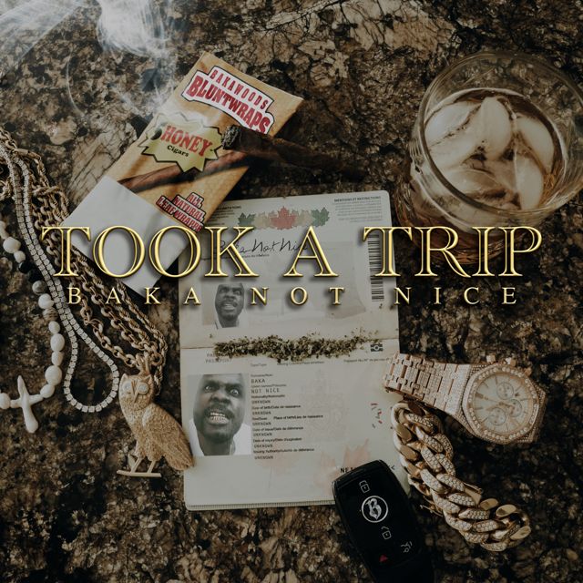 Baka Not Nice - 'Took A Trip' [Ringtone]