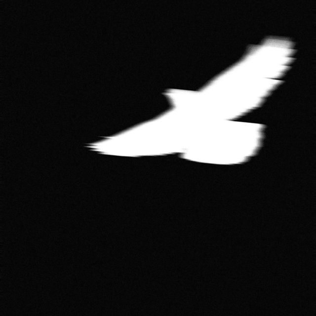 XeeJay - 'Broken Wings' [Ringtone]
