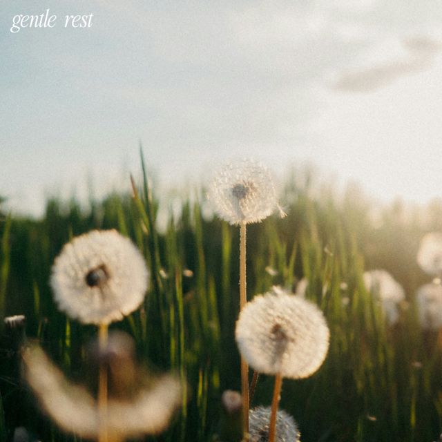 gentle rest - 'dreamy rain' [Ringtone]