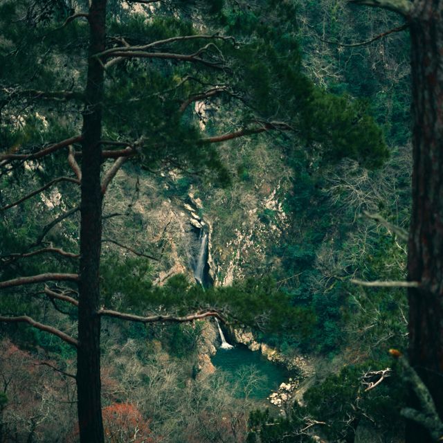 Mossveil - 'A Quiet Around You (Ambient Version)' [Ringtone]