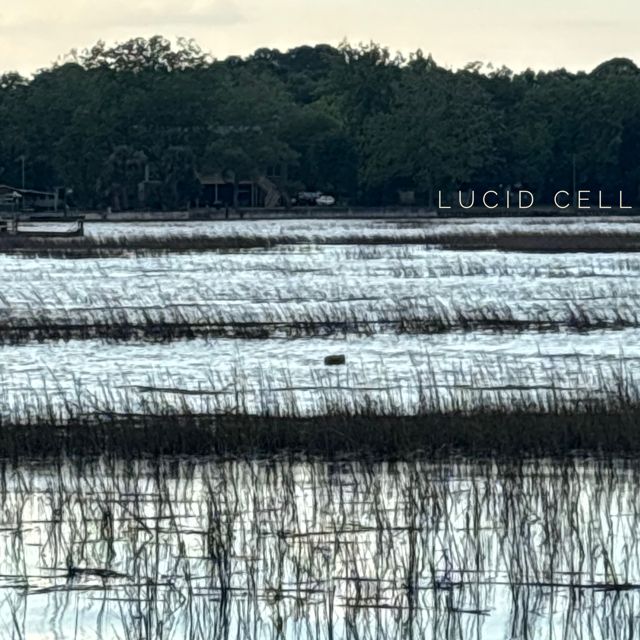 LUCID CELL - 'Enchantment Zone' [Ringtone]