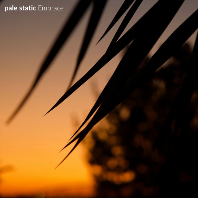 pale static - 'arms' [Ringtone]