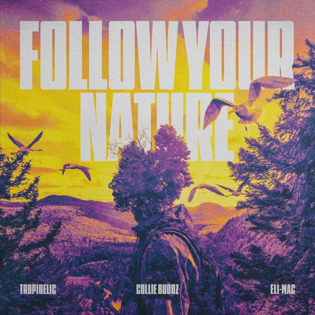 Tropidelic - 'Follow Your Nature (feat. Collie Buddz & Eli-Mac)' [Ringtone]