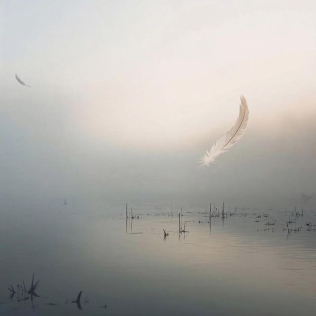 Dariya - 'A Soft Becoming' [Ringtone]