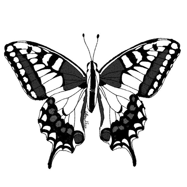 Railovesu - 'BUTTERFLIES (feat. Laylo!!)' [Ringtone]