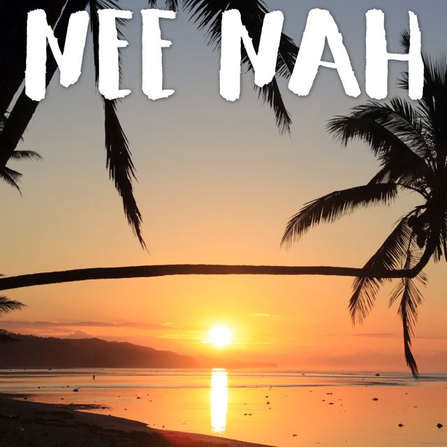 Tropical Jawns - 'Nee Nah (Marimba Version)' [Ringtone]