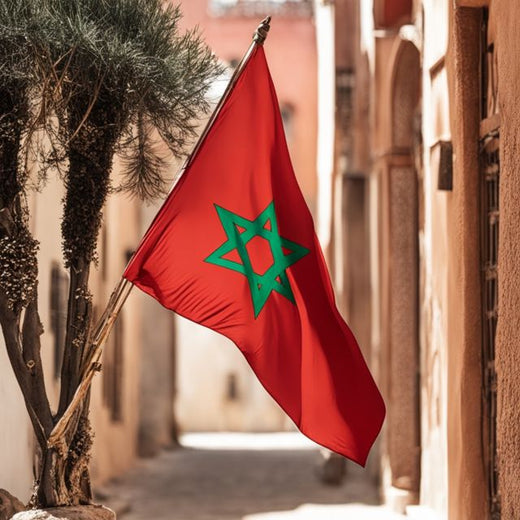 No Face Frequency - 'المغرب بطل إفريقيا ديالنا' [Ringtone]