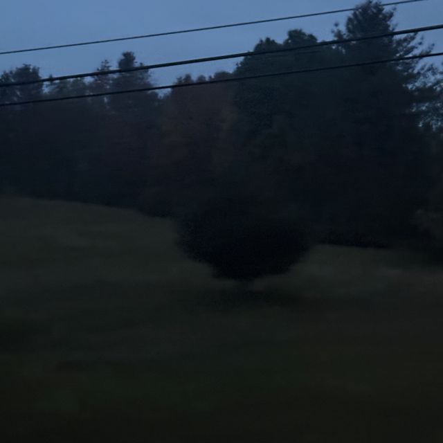 I Stared At Your Pictures For Hours - 'Yourself' [Ringtone]