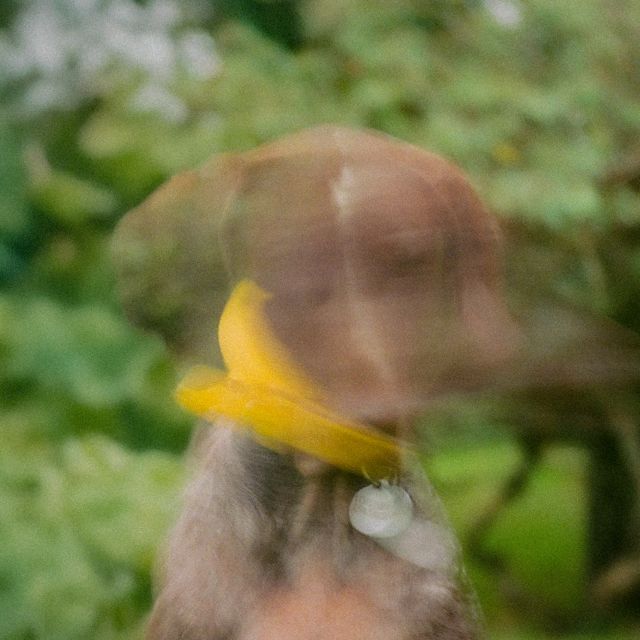 Rubén Casco - 'Mi perro' [Ringtone]