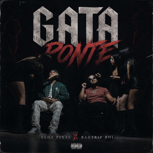 Eloy Fixal - 'GATA PONTE (feat. BADTRIP BOI)' [Ringtone]