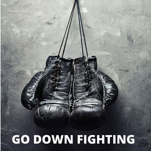 DJ Zaide - 'Go Down Fighting (2021 Instrumental)' [Ringtone]