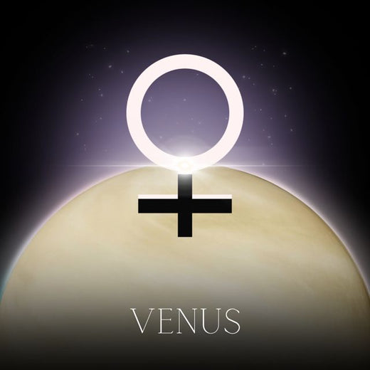 dain. - 'Venus' [Ringtone]