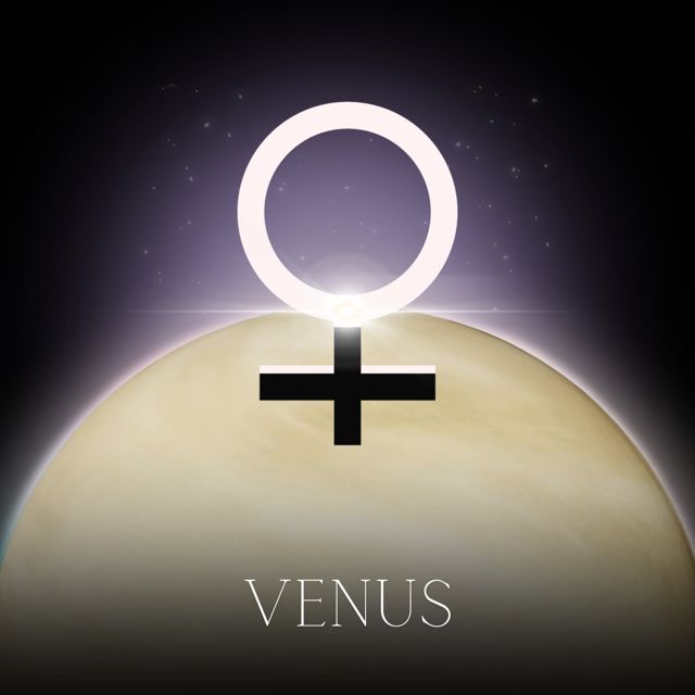 dain. - 'Venus' [Ringtone]