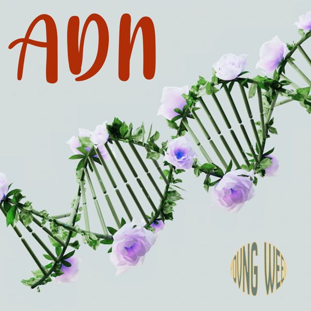 YOVNGWEED - 'ADN' [Ringtone]