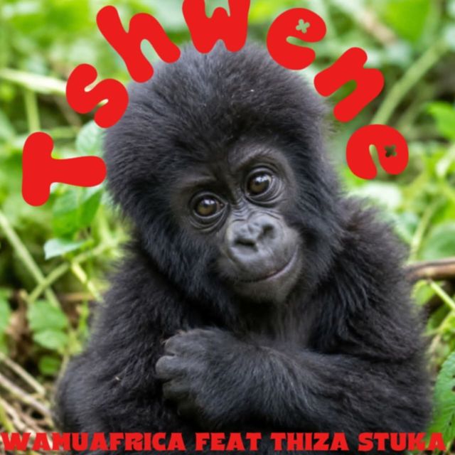 Wamuafrica - 'Tshwene (feat. Thiza Stuka)' [Ringtone]