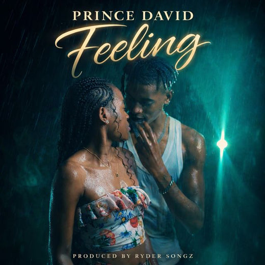 Prince David zm - 'Feeling' [Ringtone]