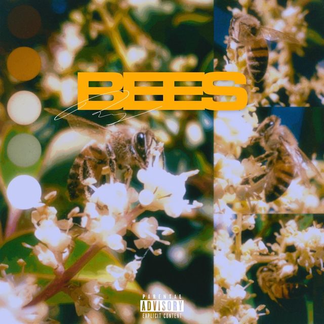 Ruggo - 'Bees' [Ringtone]
