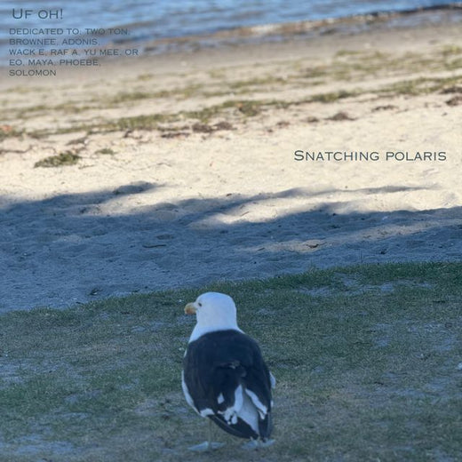 Snatching Polaris - 'UF OH!' [Ringtone]