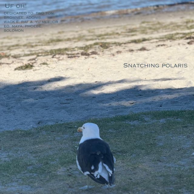 Snatching Polaris - 'UF OH!' [Ringtone]
