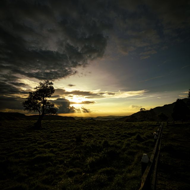 Catherine - 'Horizonte' [Ringtone]