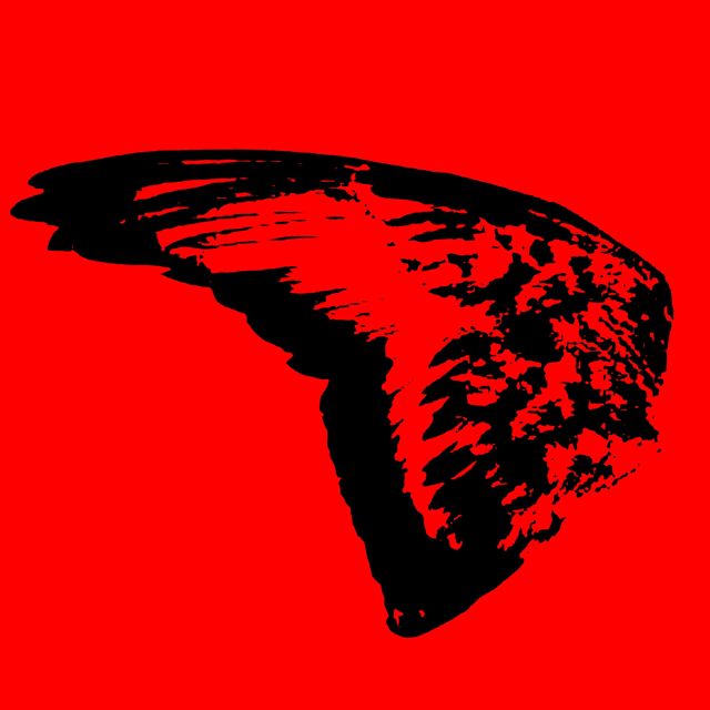 Wing Anatomy - 'Often Spotted' [Ringtone]