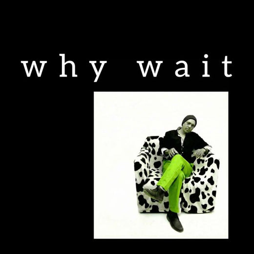 Las Canciones de Petequito - 'why wait' [Ringtone]