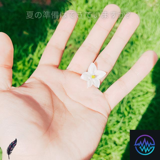 ViFeather - 'Ready for summer?' [Ringtone]