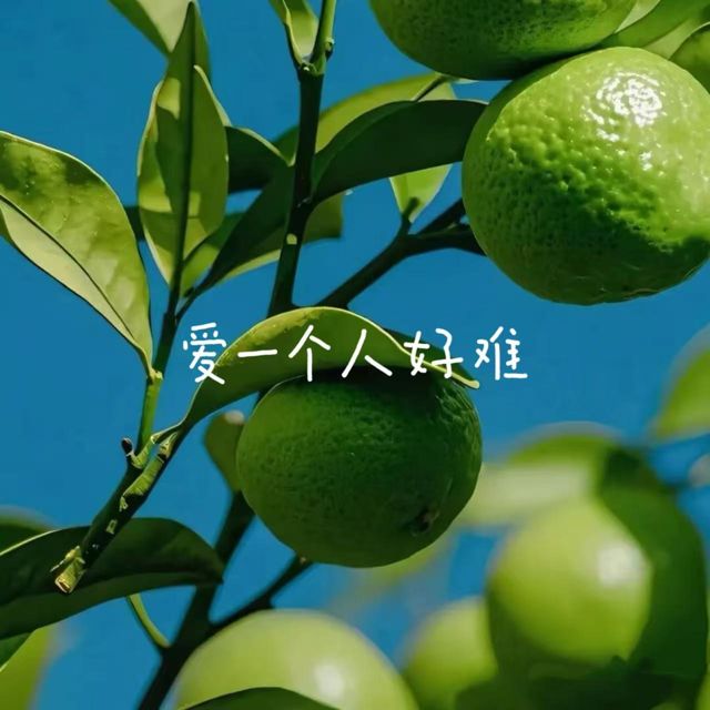 梨子芹菜 - '爱一个人好难' [Ringtone]