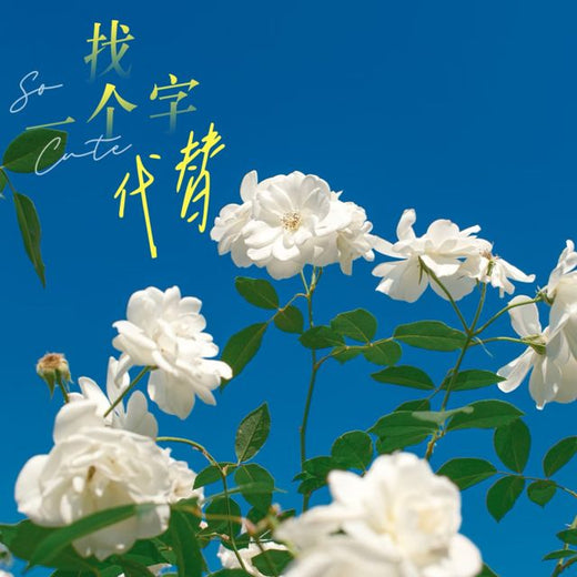 梨子芹菜 - '找一个字代替 (烟嗓版)' [Ringtone]
