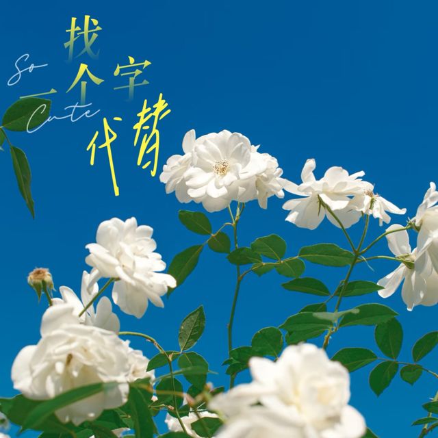 梨子芹菜 - '找一个字代替 (烟嗓版)' [Ringtone]