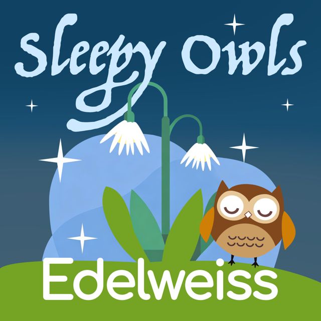 Sleepy Owls - 'Edelweiss' [Ringtone]