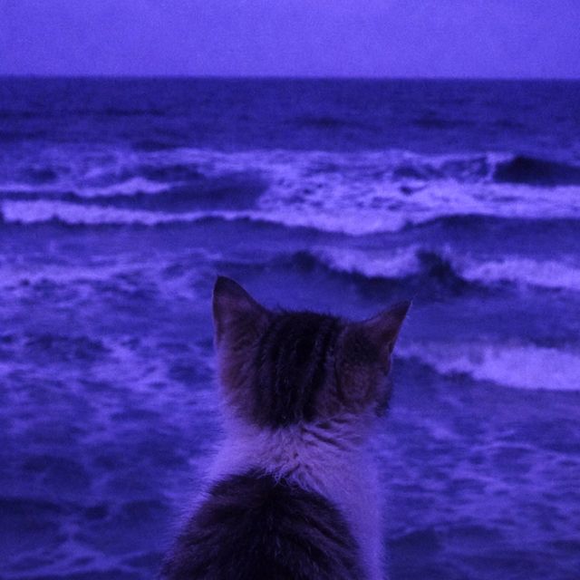 Foumo - 'i've lived more in my head than i've lived in real life (slowed)' [Ringtone]