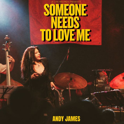 Andy James - 'Someone Needs To Love Me (feat. Jon Cowherd & James Genus & Nate Smith & Chico Pinheiro & JOHN BEASLEY & ALEX ACUÑA & Rudy Royston & John Ellis)' [Ringtone]