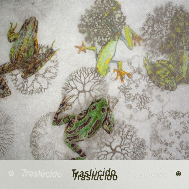 Adentro No Debería Llover - 'Memorias flotantes' [Ringtone]