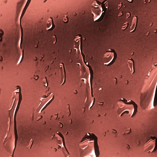 Ryal - 'Trauma' [Ringtone]