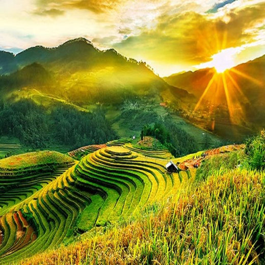 Aladu - 'Countryside' [Ringtone]